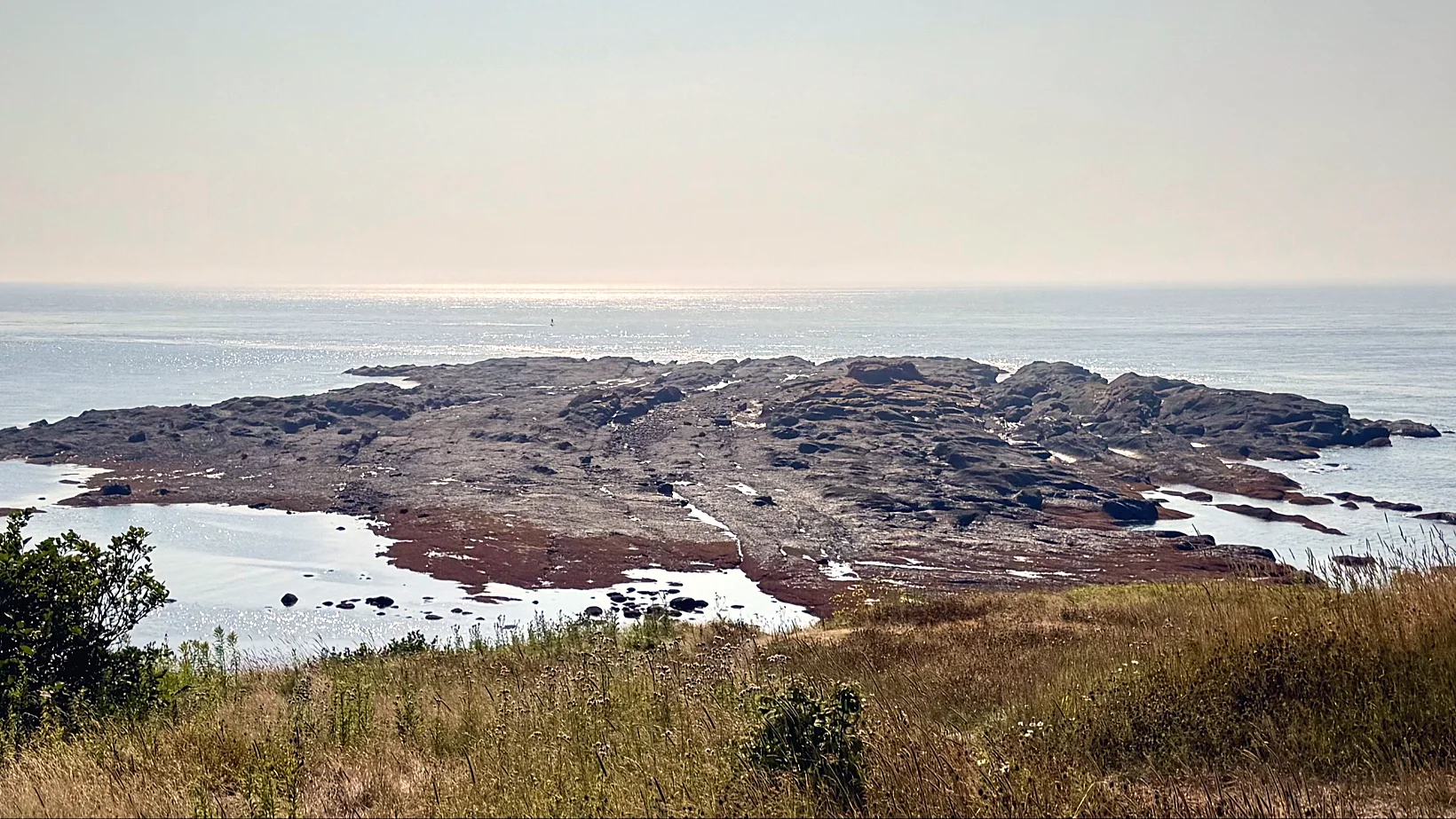 Rocky point and tidal pools along the Fundy coastline