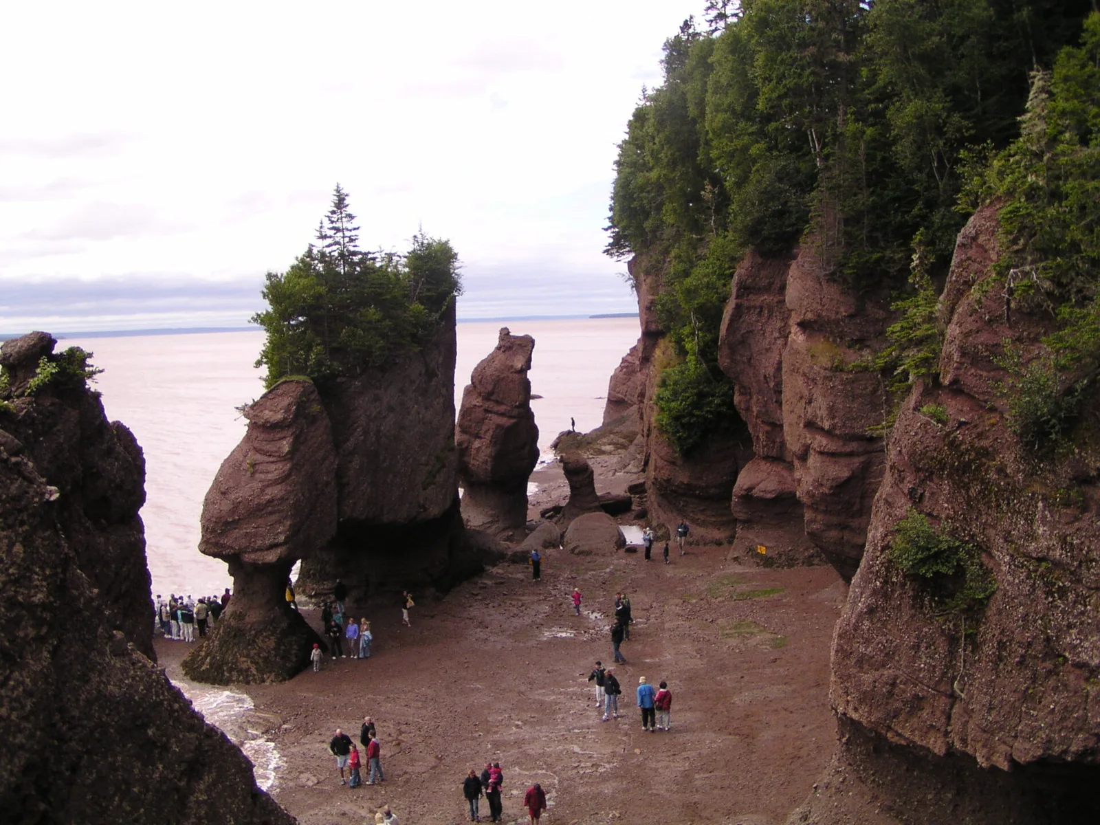 Visitors walking among the flowerpot rocks on the ocean floor at Hopewell Rocks at low tide