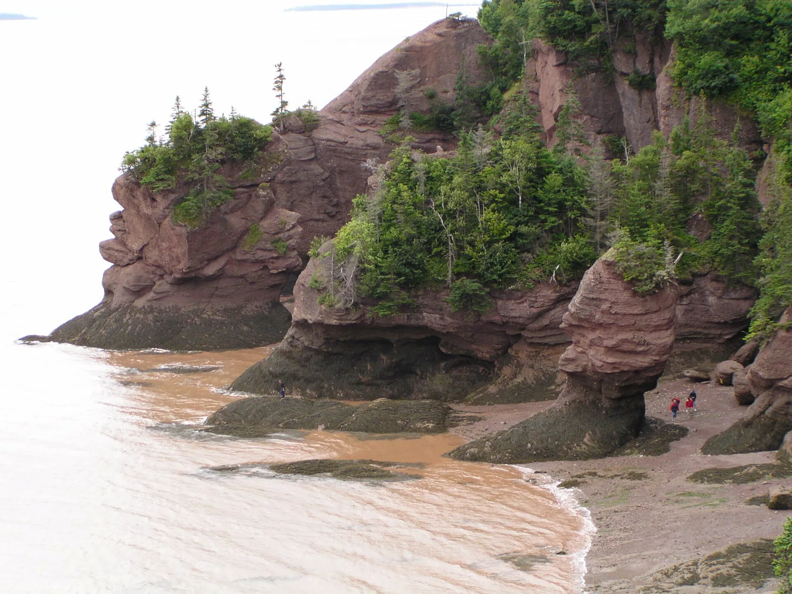 Red sandstone cliffs and tidal flats at Hopewell Rocks