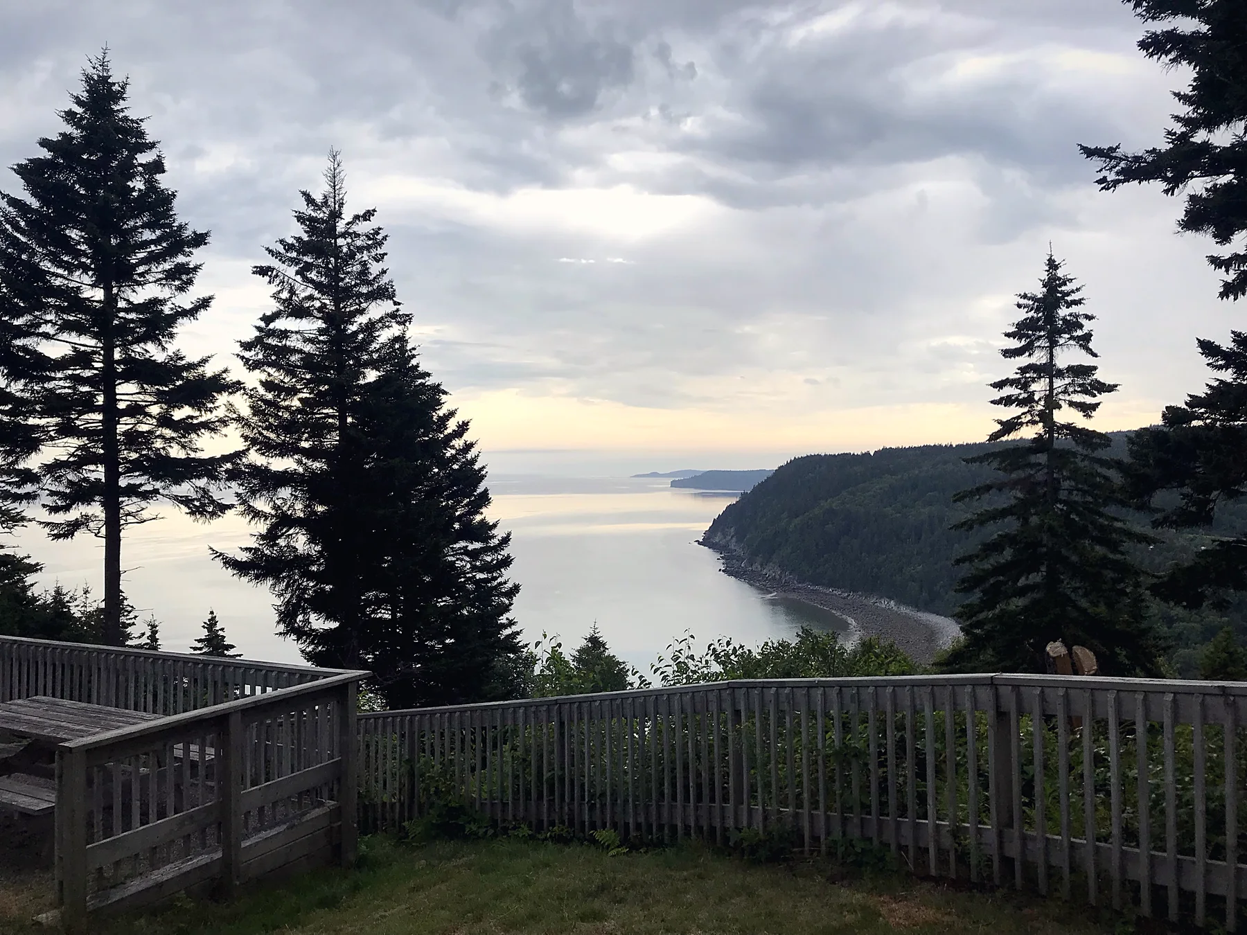 Wooden lookout with tall spruce trees above the Bay of Fundy coastline